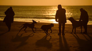 04.12.2020, Schleswig-Holstein, Tönning: Hundebesitzer gehen mit ihren Haustieren am Strand von Sankt Peter-Ording im Gegenlicht eines Sonnenunterganges spazieren. Foto: Gregor Fischer/dpa +++ dpa-Bildfunk +++