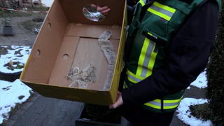 nach-schwerem-unfall-aktivisten-wiederholen-abseilaktion-von-a3-bruecke