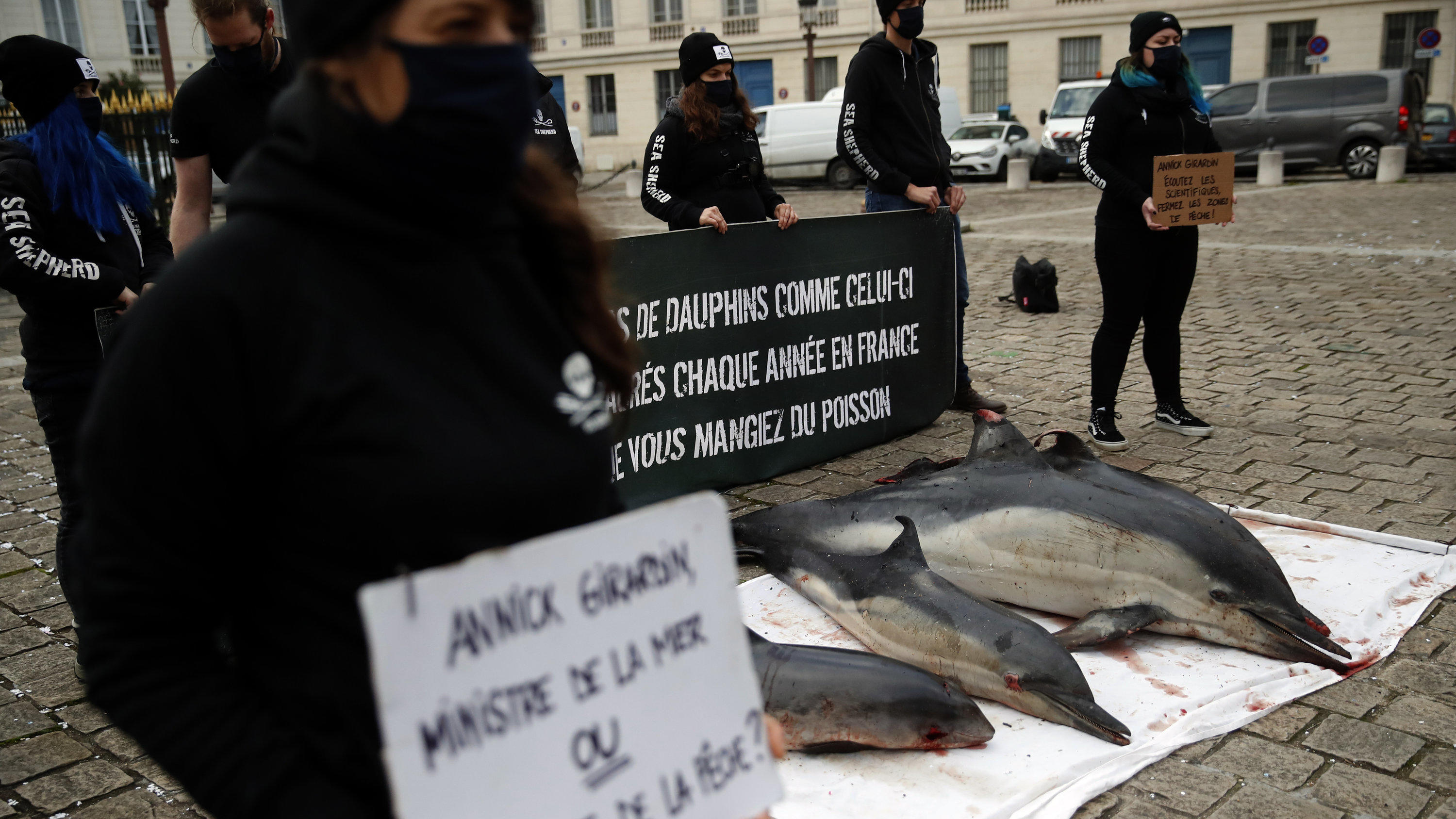 Activists stand by four dead dolphins they spread on the cobblestones outside France's parliament, in Paris, Tuesday Feb. 2, 2021 to urge safer fishing industry practices to protect dolphins from fatal encounters with fishing nets. The banner reads "
