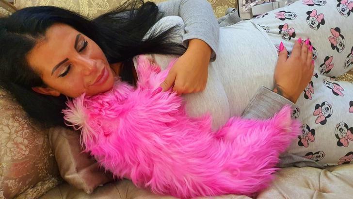 Malteser für Fasching rosa gefärbt HundeBesitzerin droht hohe Geldstrafe