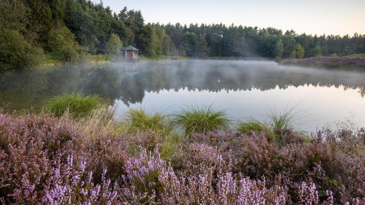 Partnersuche luneburger heide