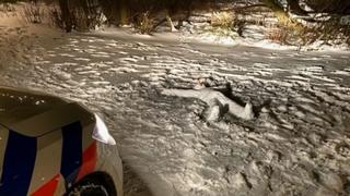 Amsterdam: Polizei findet "leblosen Körper" im Schnee