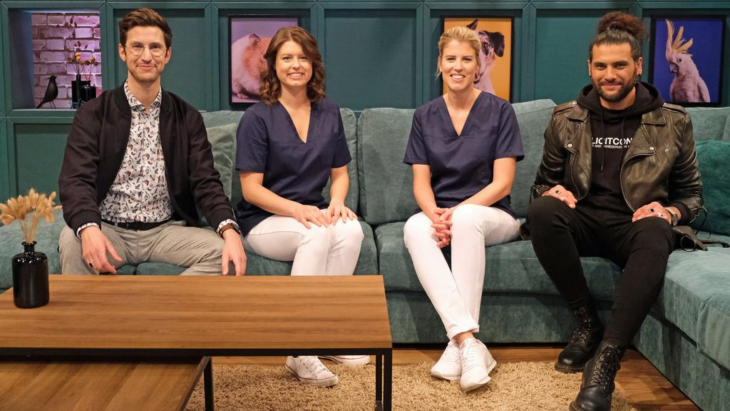 RTL-Show "Wir lieben Tiere - Die Haustiershow".