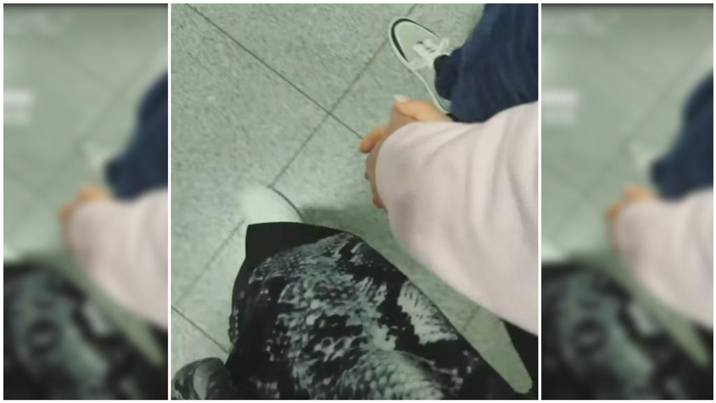 Sophia Thiel hält Händchen mit ihrem neuen Freund.