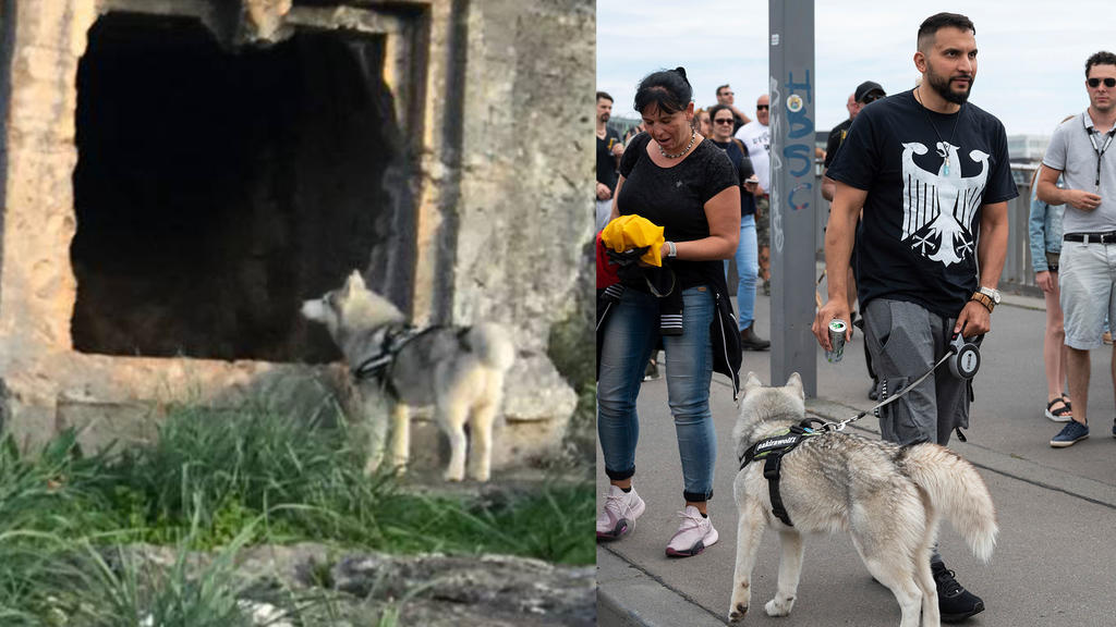 Demonstration gegen Corona-Einschränkungen - Attila Hildmann mit Hund