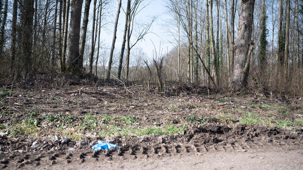 25.02.2021, Baden-Württemberg, Sinsheim: Ein Waldstück, in dem sich der mutmaßliche Tatort befindet. Nachdem ein 13-jähriger Junge tot in der Nähe von Sinsheim-Eschelbach gefunden worden war, laufen bei der Polizei am Donnerstag weiter die Ermittlung