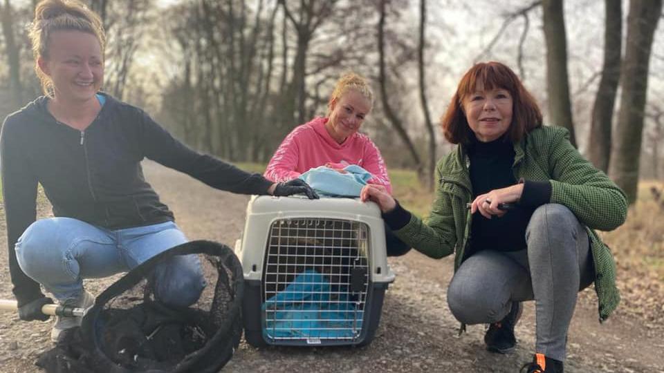 Am 22. Februar fangen die Mitglieder der Wildtierhilfe den verletzten Nasenbären auf einem Truppenübungsplatz der Bundeswehr ein.