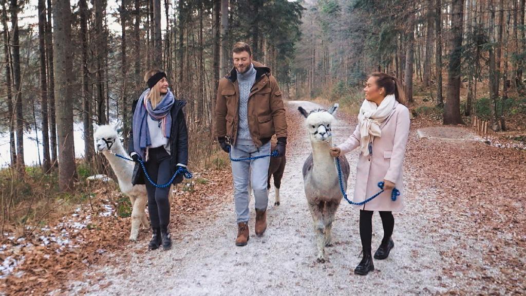 Stephie, Niko und Karina durften in Woche 7 auf einen ganz besonderen Spaziergang.