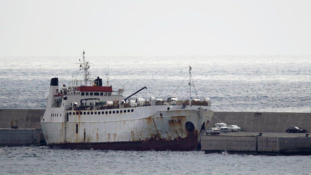 Livestock ship "Karim Allah" carrying nearly a thousand Spanish cattle stranded on ship with suspected bluetongue disease is seen docked at Escombreras port, in Cartagena, Spain February 26, 2021. REUTERS/Juan Medina