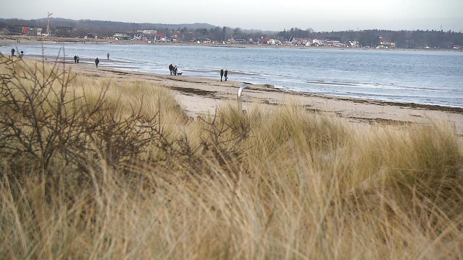 Single urlaub schleswig-holstein