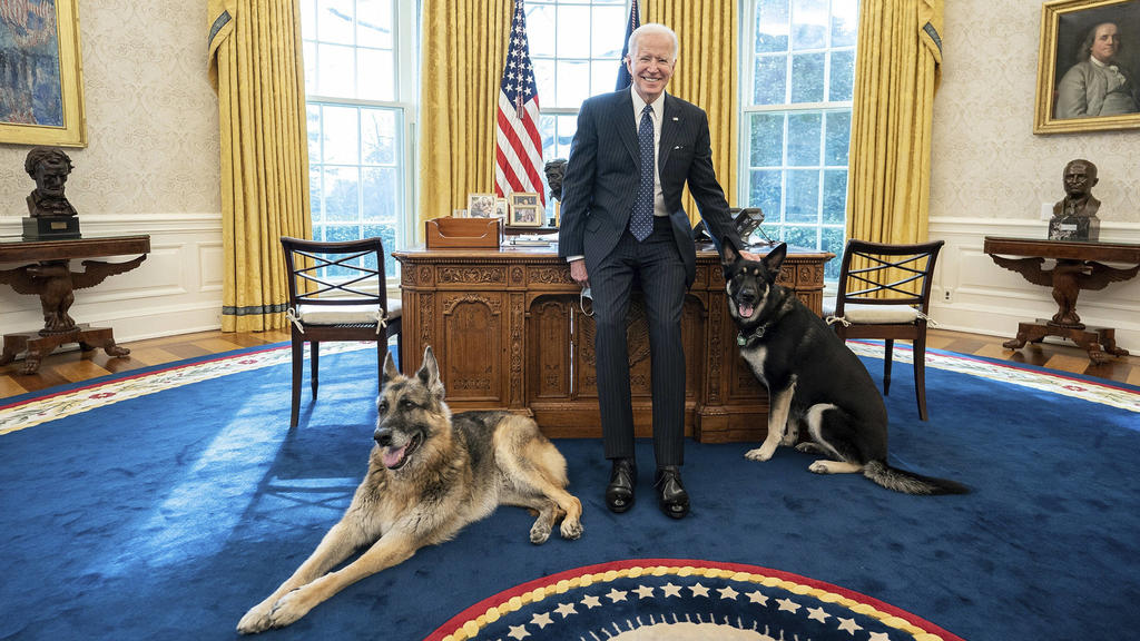 Washington, die Hunde von US-Präsident Biden müssen das Weiße Haus verlassen - Archivbilder STYLELOCATIONU.S President Joe Biden poses with the family dogs, Champ and Major in the Oval Office of the White House February 9, 2021 in Washington, D.C. Wa