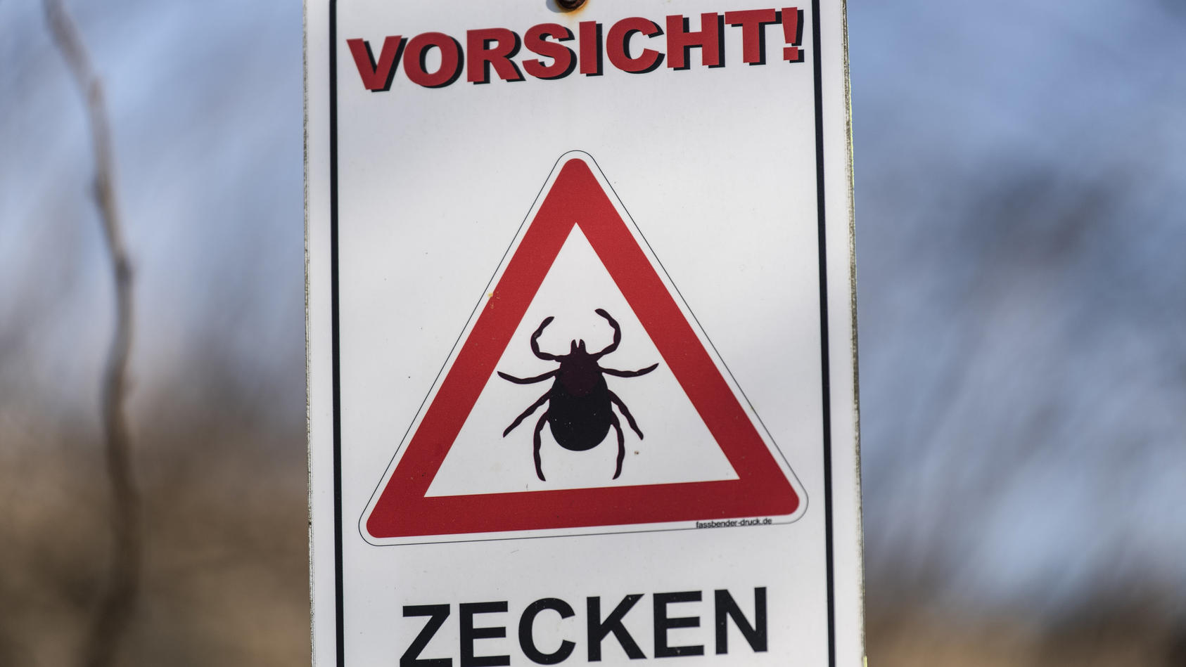 Zecken-Alarm in Deutschland! - Ist auch Ihre Region ein Risikogebiet? 