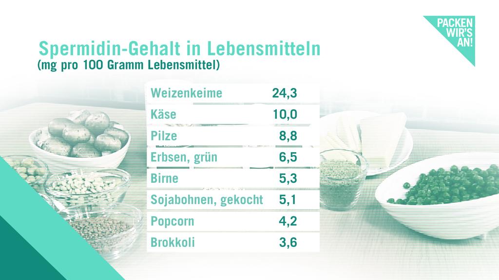 Liste mit Lebensmitteln mit hohem Spermidingehalt.