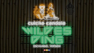 der-song-zum-dschungelcamp-2012-wildes-ding-von-culcha-candela