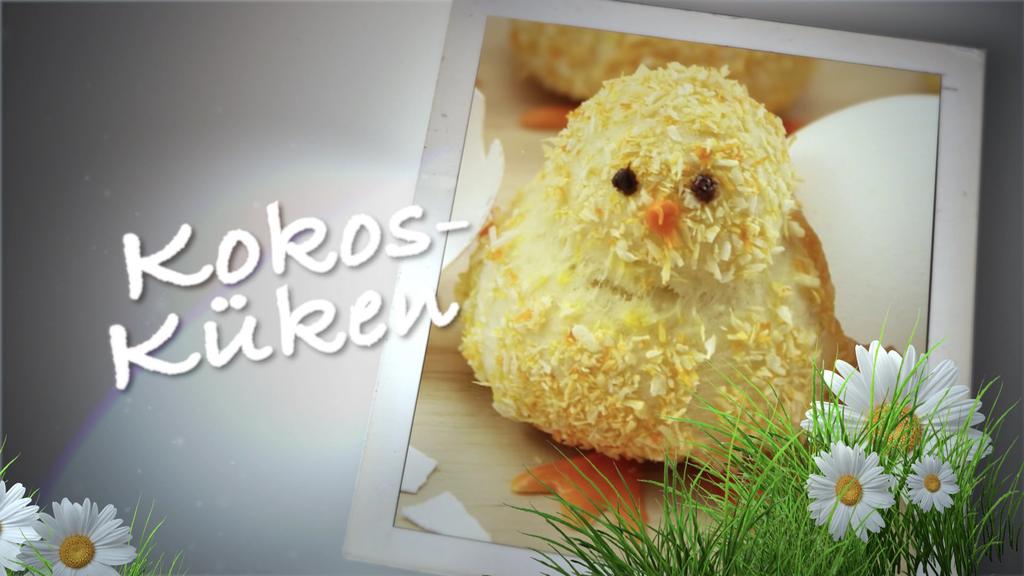 Kokos-Küken