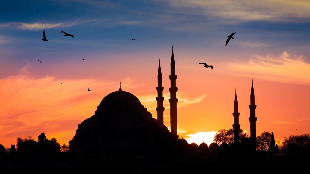 Mosque in the night in istanbul Turkey PUBLICATIONxINxGERxSUIxAUTxONLY Copyright: xNakedkingx Panthermedia24546218