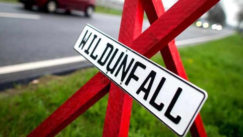 Ein rotes Dreibein mit dem Hinweis auf einen Wildunfall steht an einer Landstraße.