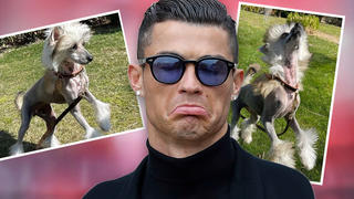 Fans von Cristiano Ronaldo verspotten dessen neuen Hund