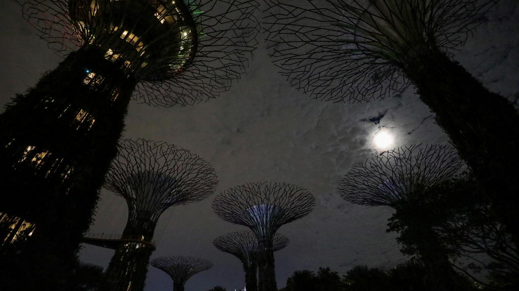 Artificial treelike structures called Supertrees are seen after lights were switched off to commemorate Earth Hour, at Gardens By the Bay, in Singapore, March 27, 2021. REUTERS/Dawn Chua