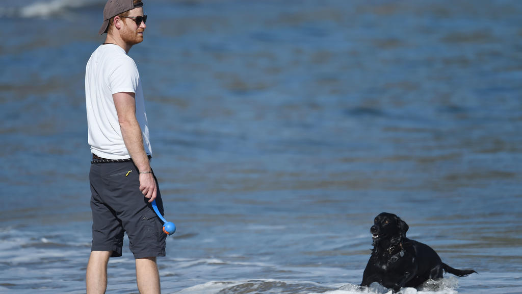 Prinz Harry genießt am Strand von Santa Barbara eine kleine Auszeit mit seiner Hündin.