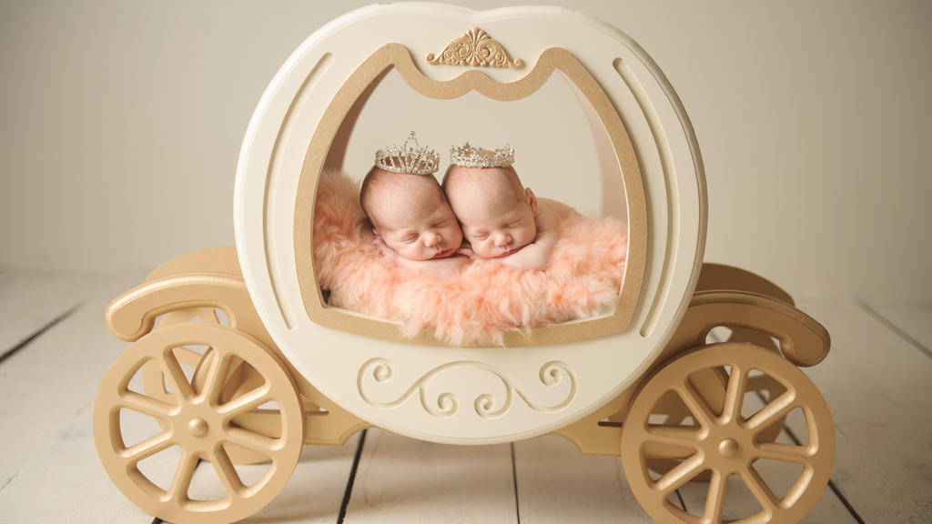 Zwei Babys liegen in einer Bettkutsche