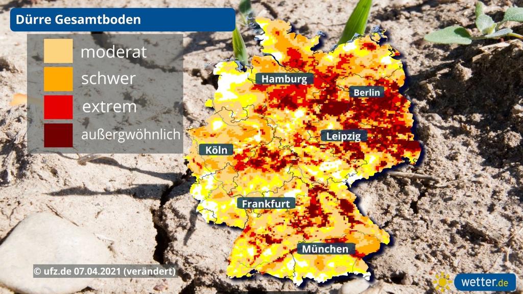 Die Dürre im Gesamtboden sieht immer noch besorgniserregend aus.