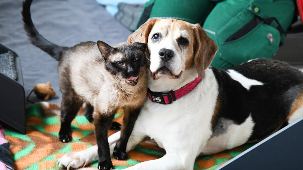 Luzie und Marley