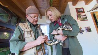 Tiertrainer Orazio Martino hält Reptilien in seinem Wohnhaus
