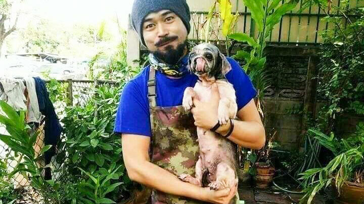 Endlich sieht sie wieder aus, wie ein normaler Hund und kann ein neues, glückliches Hundeleben führen.
