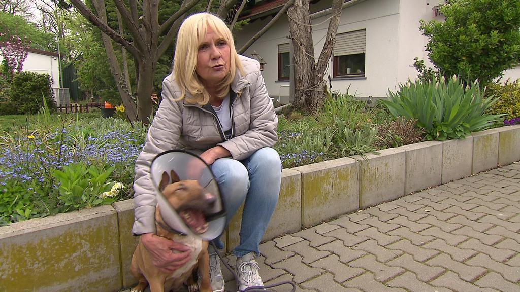 Claudia Vietmeier-Kemmler, Tierheim Rüsselsheim, kümmert sich liebevoll um die gerettete Hundedame Mandarin, der die entzündete Gebärmutter entfernt werden musste.