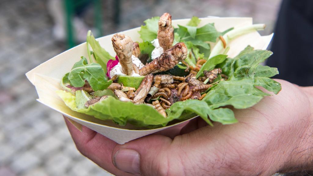 Snack mit Insekten, ein Mann hält auf einer Street Food Veranstaltung eine Schale mit Heuschrecken, Mehl- und Buffalowürmern auf Salat. Deutschland *** Snack with insects, a man holding a bowl of grasshoppers, flour and buffalo worms on salad at a s