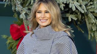  November 23, 2020, Washington, DC, United States: November 23, 2020 - Washington, DC, United States: First Lady MELANIA TRUMP posing with the carriage that is delivering the White House Christmas Tree. Washington United States - ZUMAb161 20201123_zap_b161_009 Copyright: xMichaelxBrochsteinx