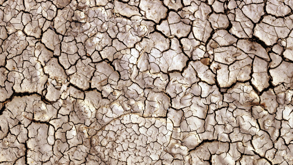 Trockener Boden mit Trockenrissen: Das Grundwasser fehlt in den tiefen Bodenschichten