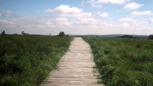 In die endlose Ferne scheint dieser Holzsteg zu führen, der durch eine Moorlandschaft im Hautes Vagnes (Hohes Venn) in den Ardennen in Belgien führt. (Aufnahme von 2000).