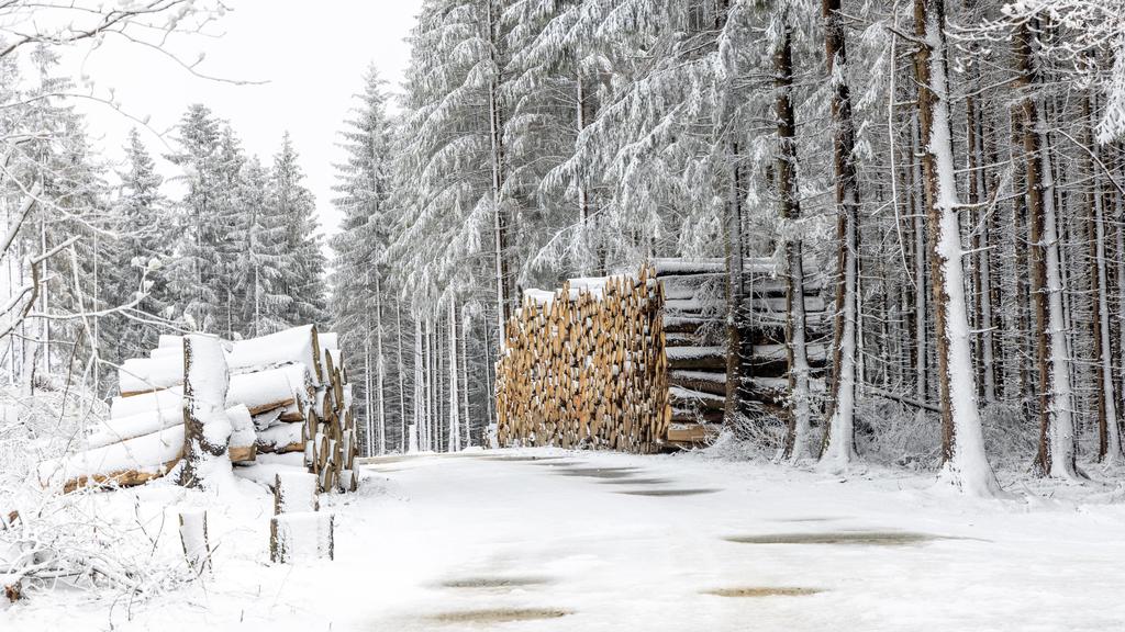 Nach einem starken Schneeschauer liegt am Mittag eine dünne Schneedecke in den Höhenlagen des Taunus rund um den Großen Feldberg.