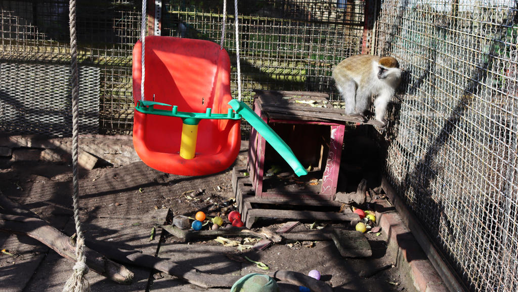 Erschreckende Fotos aus dem Privatzoo in Nauen
