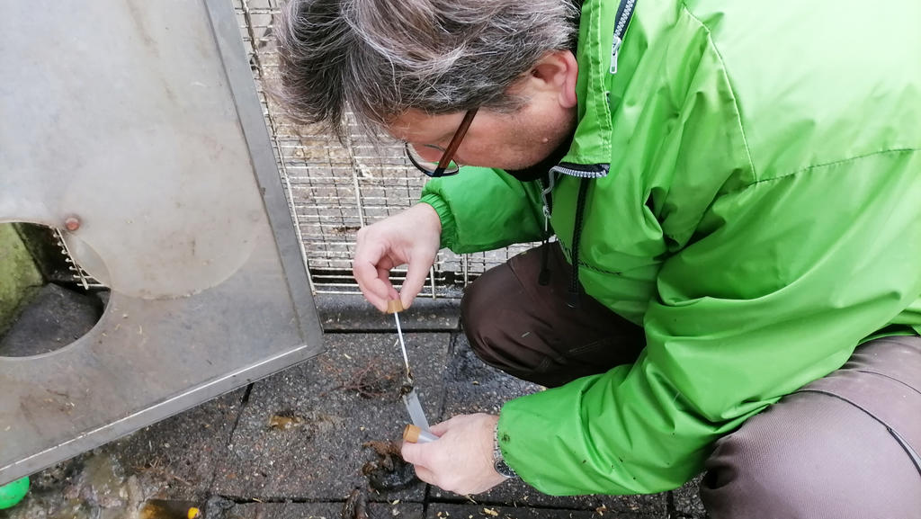 Tierarzt bei der Arbeit im Privatzoo Nauen