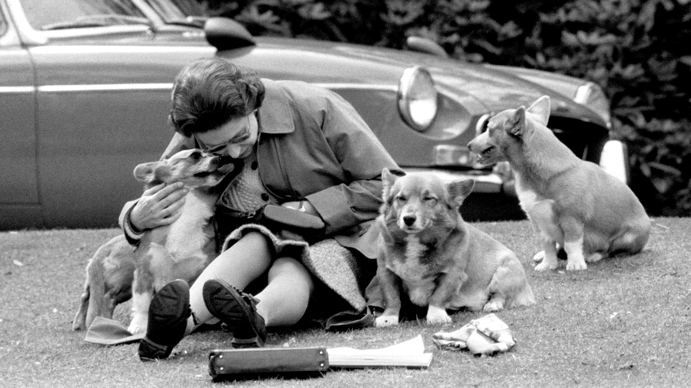 Königin Elisabeth II. liebt Hunde. Hier schmust sie 1973 mit ihren Corgis.