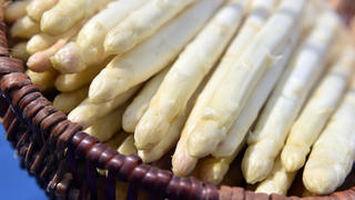Frisch gestochener Spargel liegt am 13.04.2016 in einem Korb auf dem Feld des Geiseltaler Spargelhofes Hindorf in Langeneichstädt (Sachsen-Anhalt). Auf 30 Hektar reifen die Spargelstangen hier unter Folien im Freiland. Der Betrieb erwartet rund fünf Tonnen Ertrag pro Hektar. Als Regionallieferant vermarktet der Hof seinen Spargel auch in Supermärkten in der Region Halle. Foto: Hendrik Schmidt/dpa +++(c) dpa - Bildfunk+++