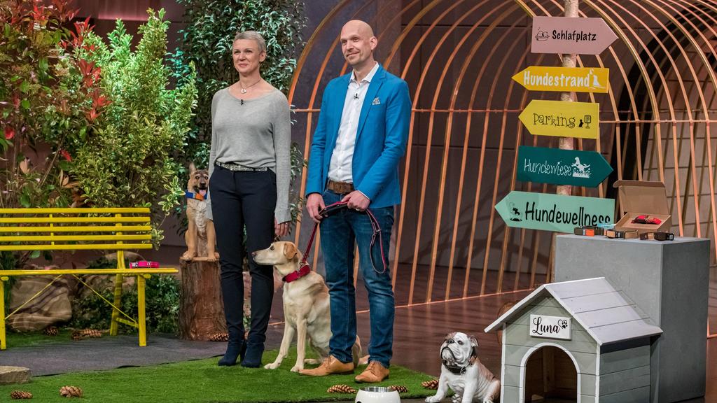 „WowWow": Ein Hundehalsband mit integrierter Leine
