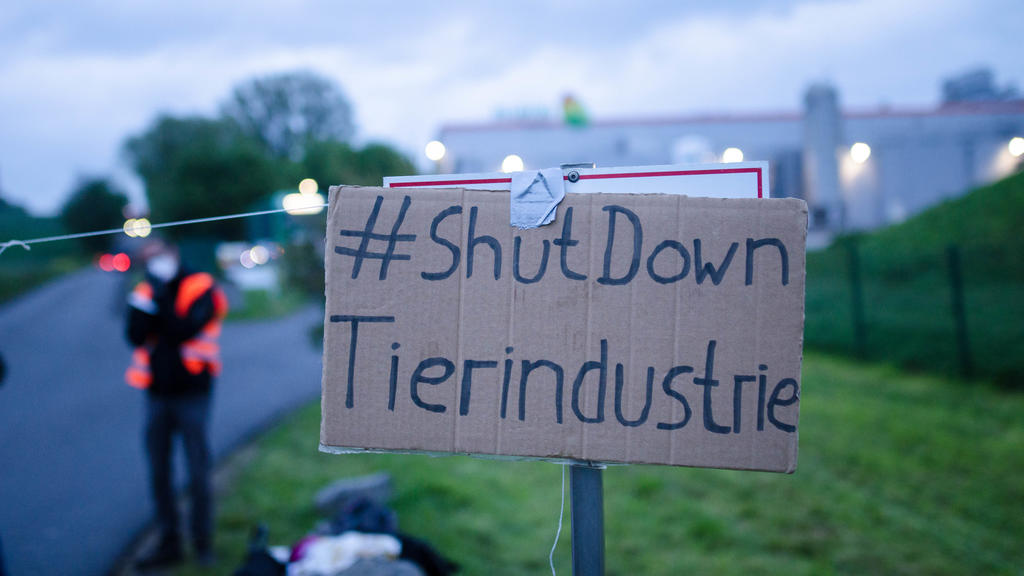 Pappschild mit Forderung "Shut Down Tierindustrie"