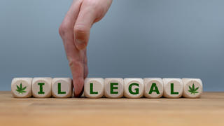 Würfel mit Schriftzug zeigen das Wort legal oder illegal und eine Hanf-Pflanze