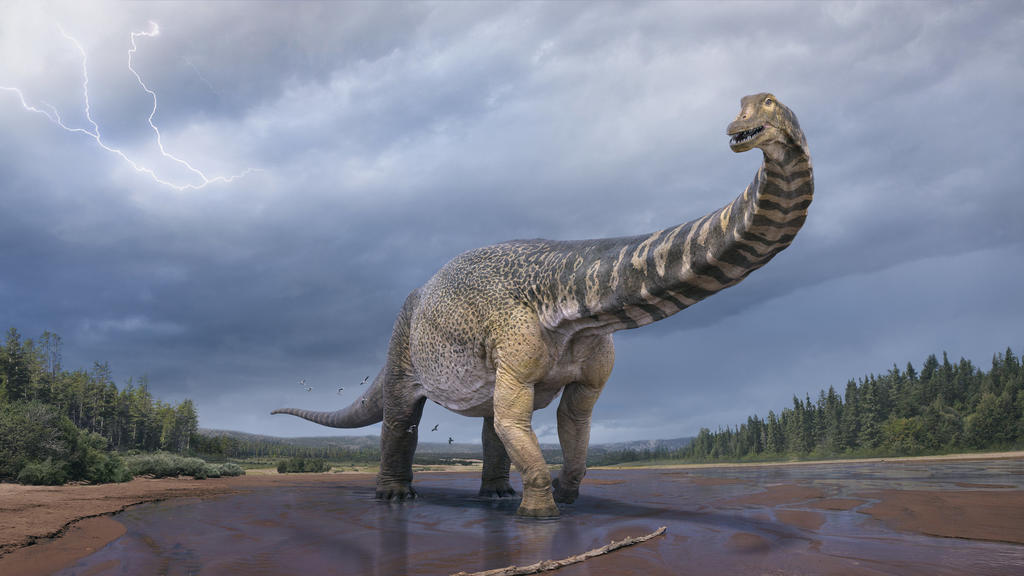 HANDOUT - 11.07.2018, Australien, ---: Eine künstlerische Darstellung zeigt den Dinosaurier Australotitan cooperensis, oder den Südtitan. Paläontologen haben bestätigt, dass Queensland einst die Heimat eines der größten Dinosaurier der Welt war. (