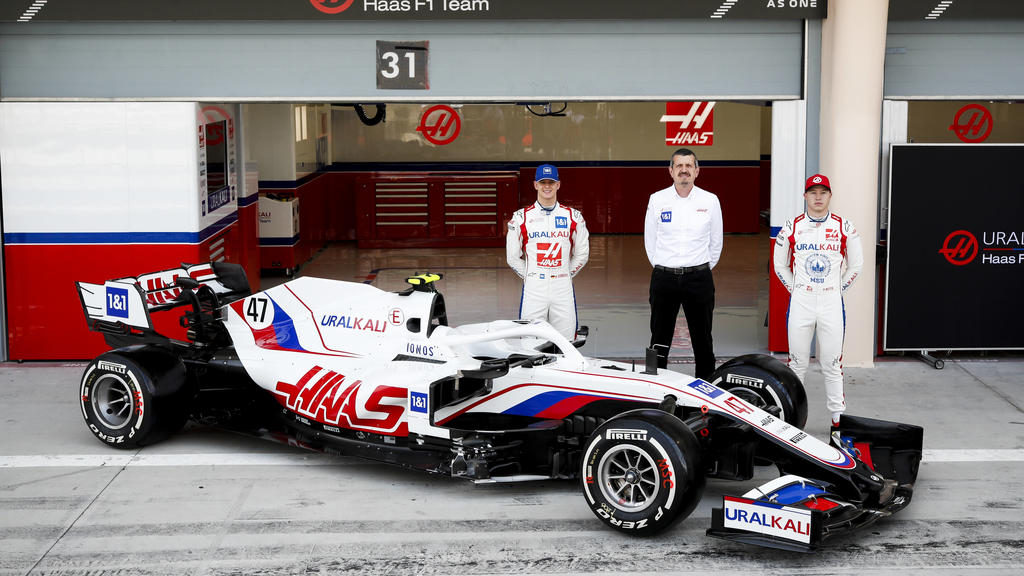 Das Haas-Team