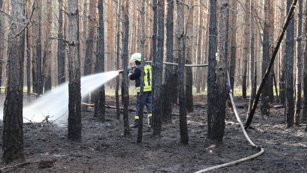 Waldbrandgefahr steigt: Wo wird es wirklich brenzlig?