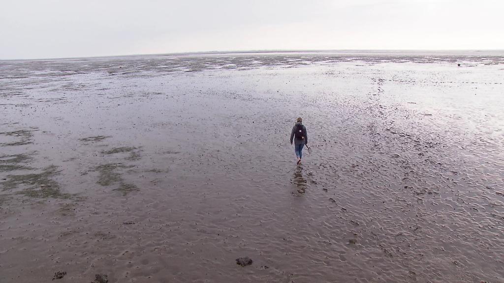 Wattenmeer