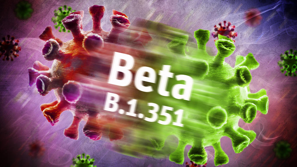 Symbolfoto von mutiertem Coronavirus der Beta-Variante B.1.351.