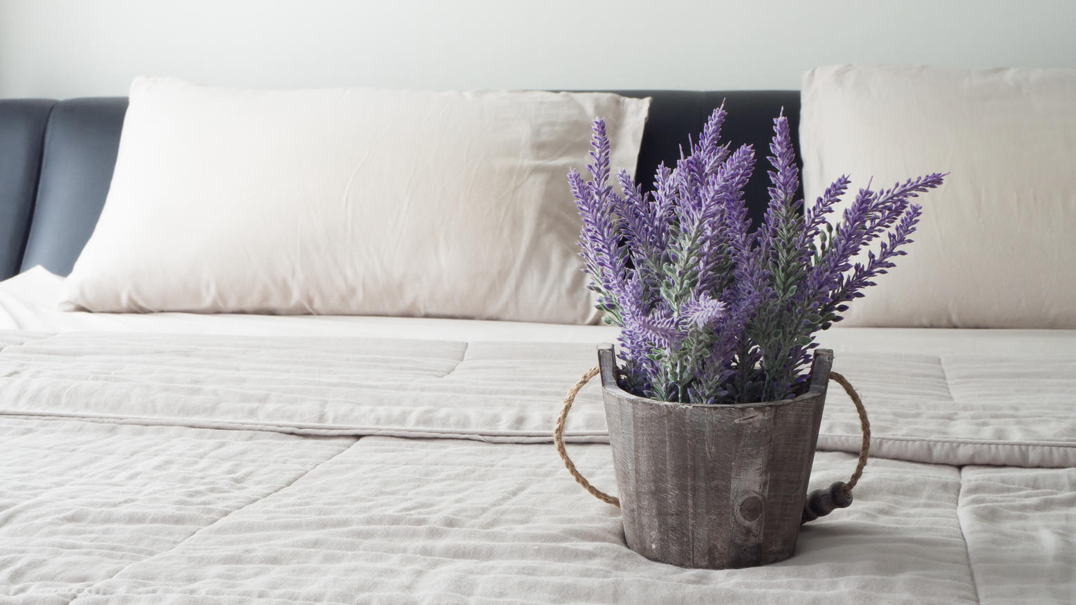 Lavendel für gute Schlafqualität