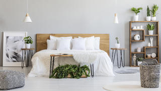 Pflanzen fürs Schlafzimmer