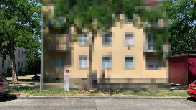 An diesem Baum, auf einem Grünstreifen zwischen zwei Fahrbahnen in Wien-Donaustadt, lehnte die Leiche der kleinen Leonie (13) aus Tulln.